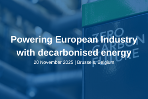 Powering European Industry with decarbonised energy